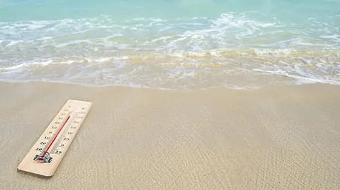The Oceans Are Running a Fever: Causes and Consequences of Marine Heat